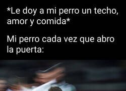 Enlace a Como a Lamine, no hay quién lo pare