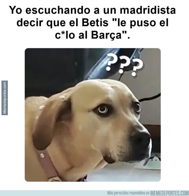 1214313 - Y con la cara seria y todo.