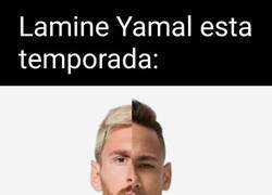 Enlace a Una mezcla de ambos