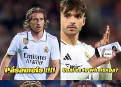 Enlace a La distribución de Asencio