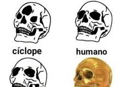 Enlace a Todos tienen derecho a tocarla