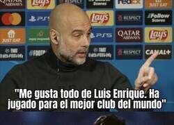 Enlace a Tienes razón, Pep