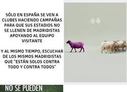 Enlace a No hay nada más fácil (y cínico) que ser del Real Madrid