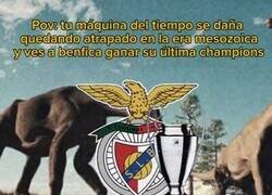 Enlace a De hecho, creo que todo fue un mito