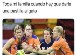 Enlace a Si no lo hacemos entre todos es imposible