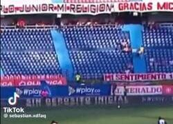 Enlace a La gravedad a veces es muy graciosa