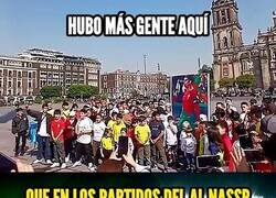 Enlace a El bicho debió irse a México