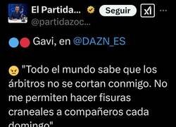 Enlace a Pobre Gavi, es una víctima del sistema arbitral