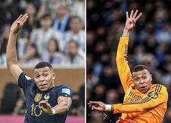 Enlace a Marca registrada del niño Tortuga