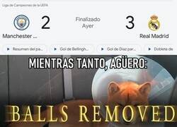 Enlace a ¿Por qué hace esas apuestas?