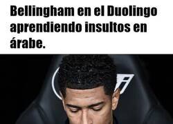 Enlace a En inglés ya no cuelan