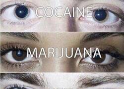 Enlace a Los ojos de la ira