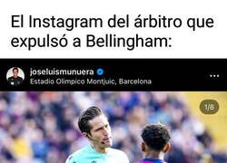 Enlace a No hay más preguntas, señoría...