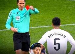 Enlace a Dura lección para Jude