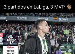 Enlace a El auténtico GOAT