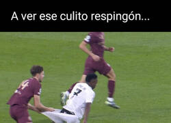 Enlace a Pero Nico, ¿qué haces?