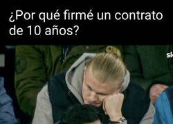 Enlace a ¿Qué hiciste, Erling?