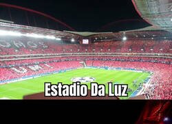 Enlace a La tontería del día