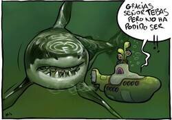 Enlace a El submarino no pudo con el tiburón blanco