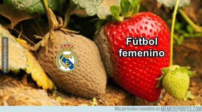 1218246 - El Real Madrid pudre todo lo que toca