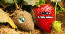Enlace a El Real Madrid pudre todo lo que toca