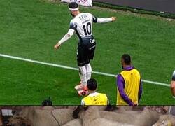 Enlace a Está a nada de pedir la nacionalidad