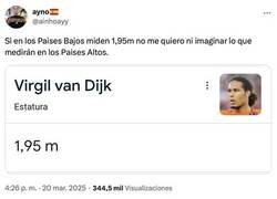 Enlace a No estuvieron a la altura