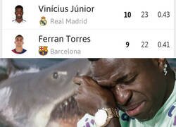 Enlace a Se acerca El Tiburón