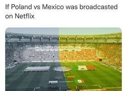 Enlace a Polonia-México retransmitido por Netflix