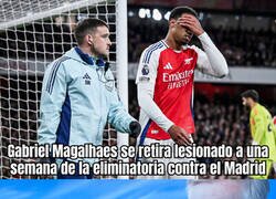 Enlace a La flor de siempre