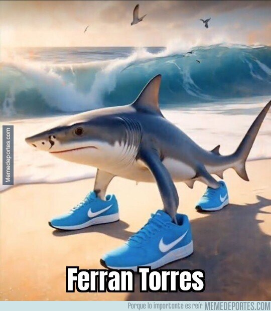 1218888 - El tiburón está en su prime