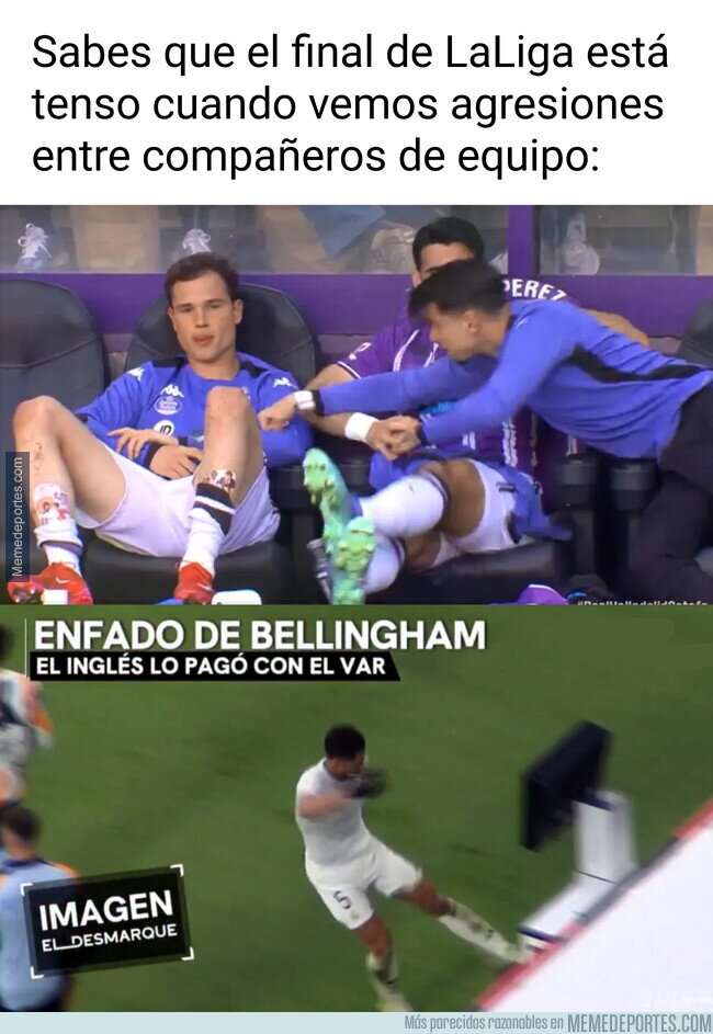 1219149 - Imágenes que no nos gustan ver