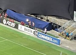 Enlace a América grita unida...