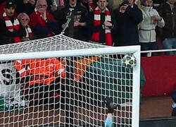 Enlace a Por más que lo veo, es alucinante