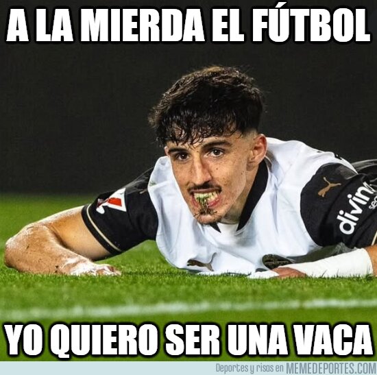 1219648 - Así estará menos estresado