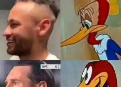 Enlace a No hay mejor inspiración para peinados que ese pájaro