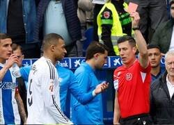 Enlace a Casi se pone a llorar el árbitro