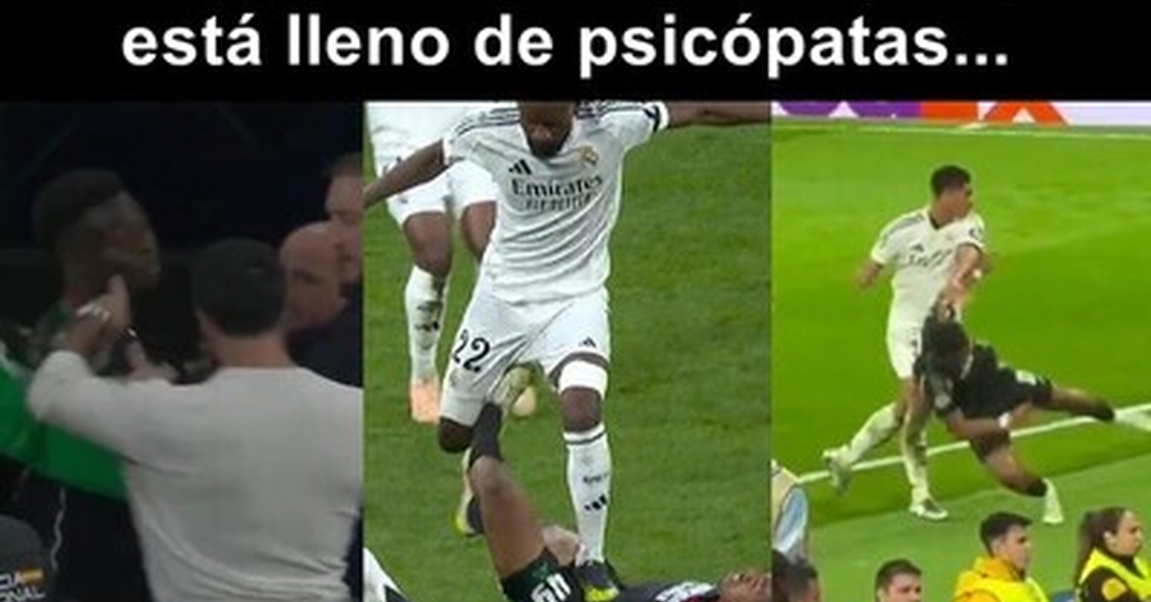 Por esto le llaman manicomio