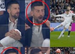 Enlace a Hasta Djokovic alucinó con el gol de Valverde