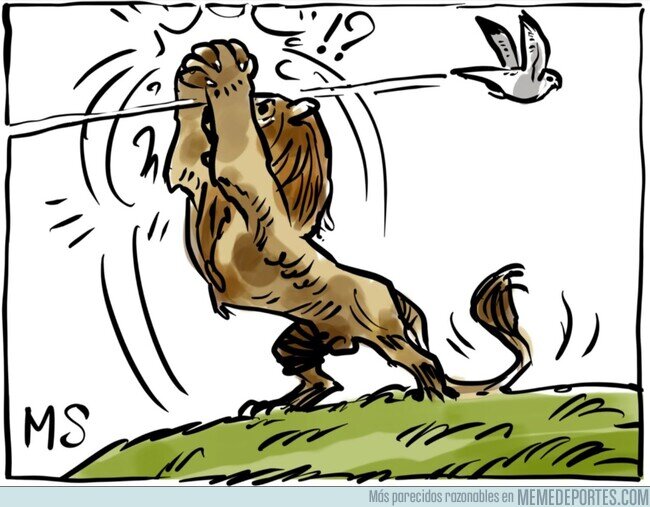 1220278 - El león no pudo parar el 'halconazo'