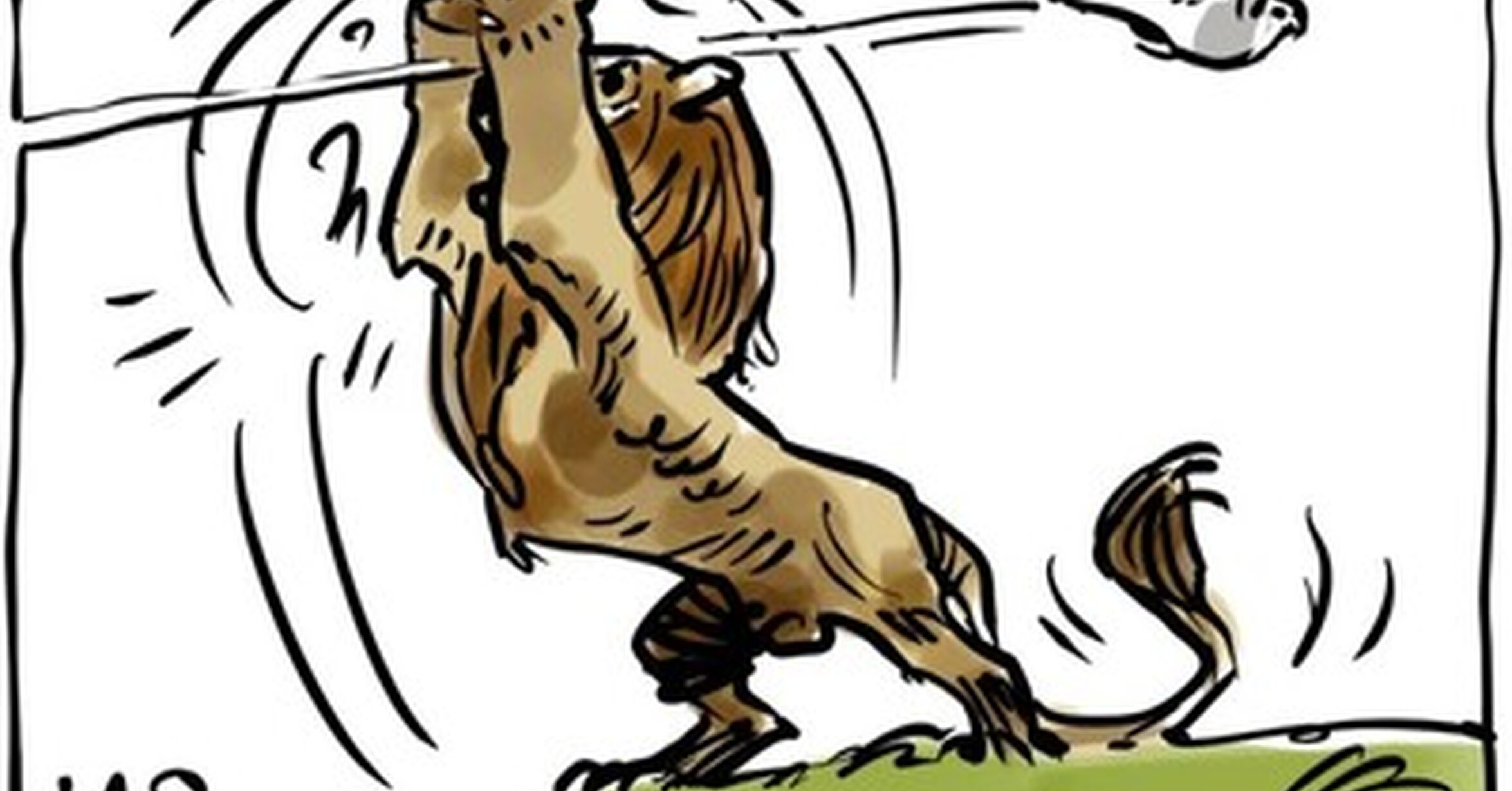 El león no pudo parar el 'halconazo'