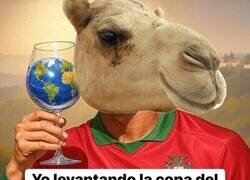 Enlace a El genio no sabe nada...