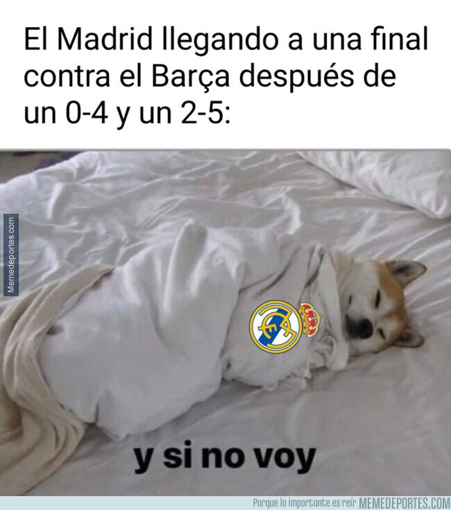 1220536 - El verdadero motivo del casi desplante