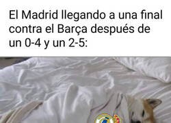 Enlace a El verdadero motivo del casi desplante