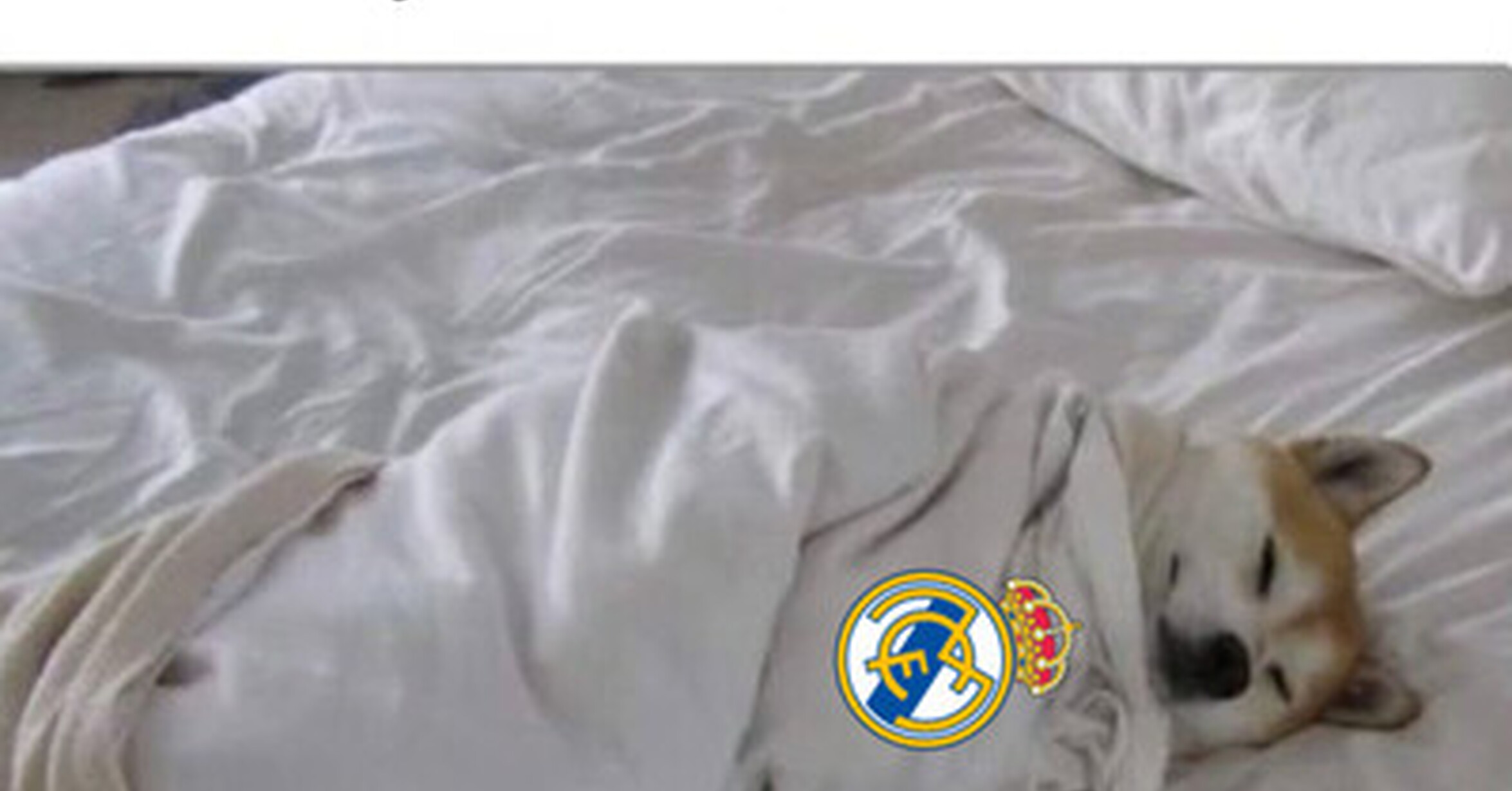 El verdadero motivo del casi desplante