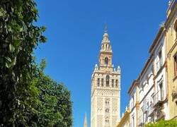 Enlace a Han beatificado al Flicko en el último Sant Jordi