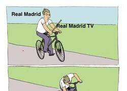 Enlace a Son hasta tiernos cuando los analizas