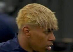 Enlace a Ese pelo me recuerda a algo