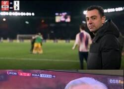 Enlace a Separados al nacer