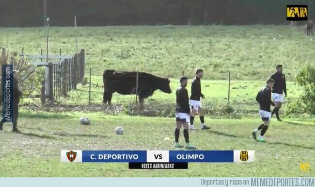 1220723 - Mientras tanto, en la primera división de Uruguay...